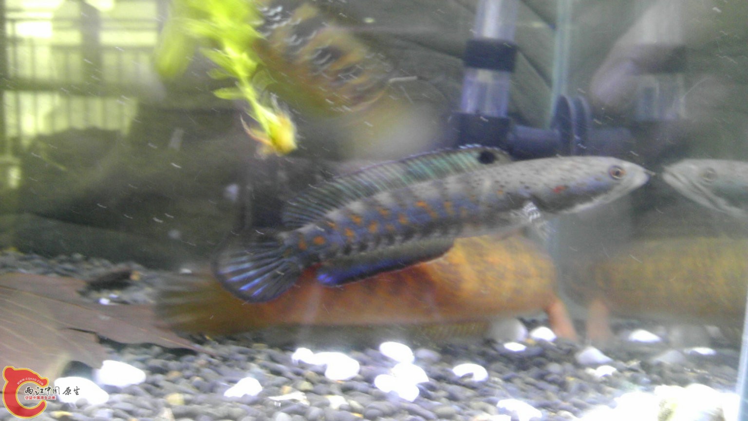 IMAG3728.jpg