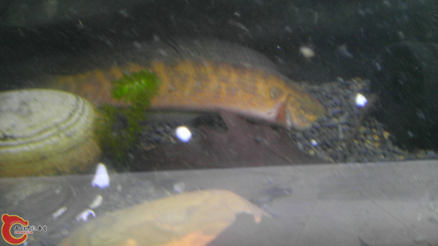 IMAG3740.jpg
