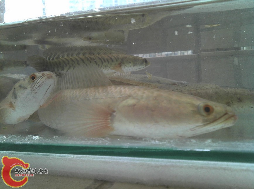2012-10-04_16-20-40_601.jpg