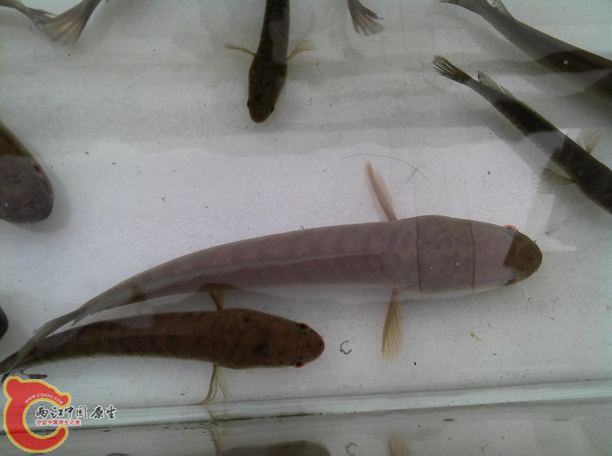 2012-10-04_16-19-00_713.jpg