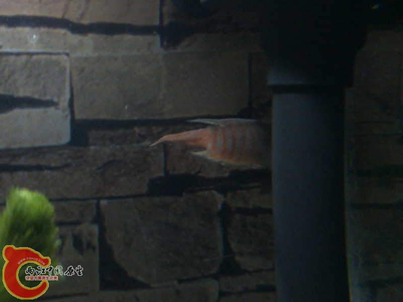 IMG_20130406_215128_副本.jpg