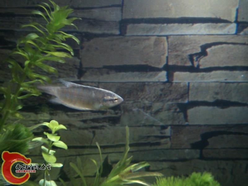 IMG_20130406_215037_副本.jpg