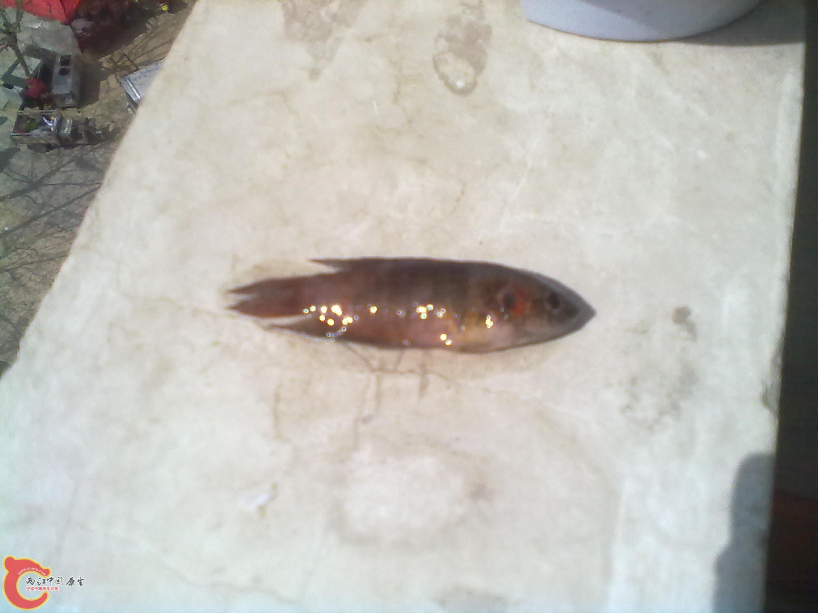 201304072189.jpg