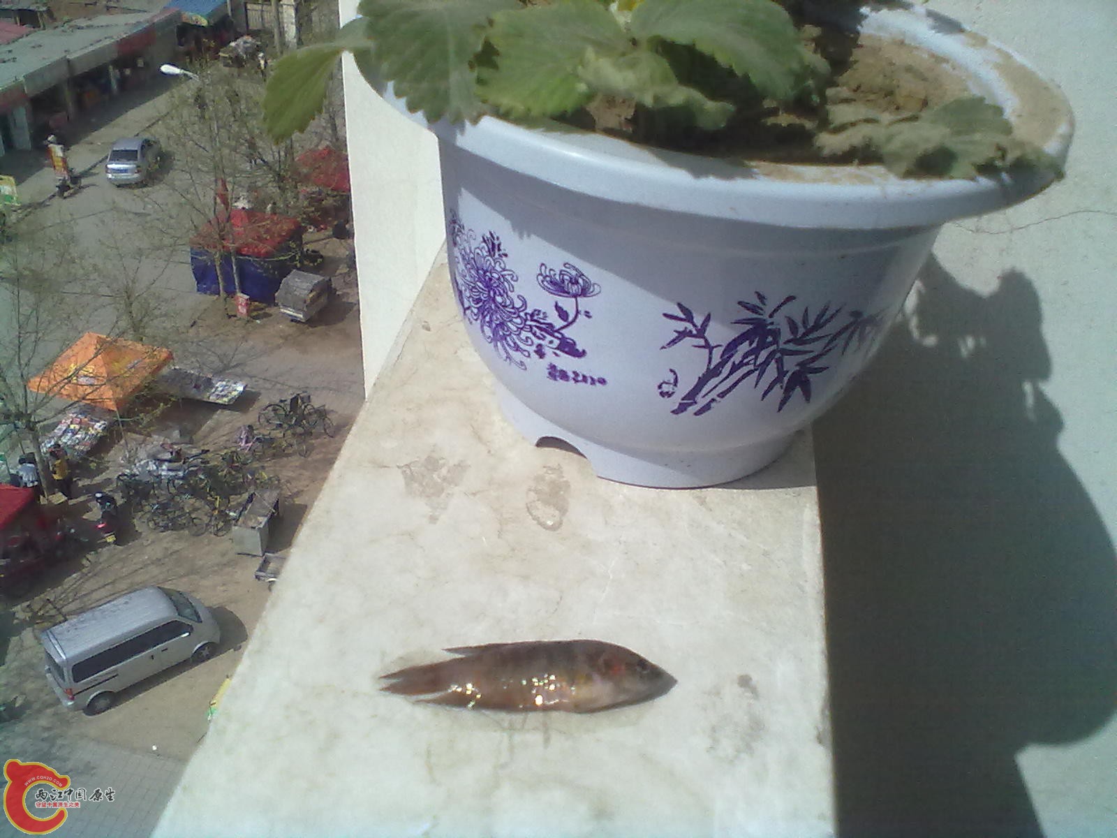 201304072190.jpg