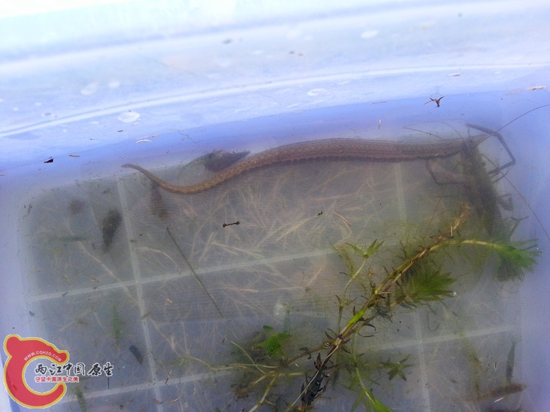 20130408_123517_副本.jpg
