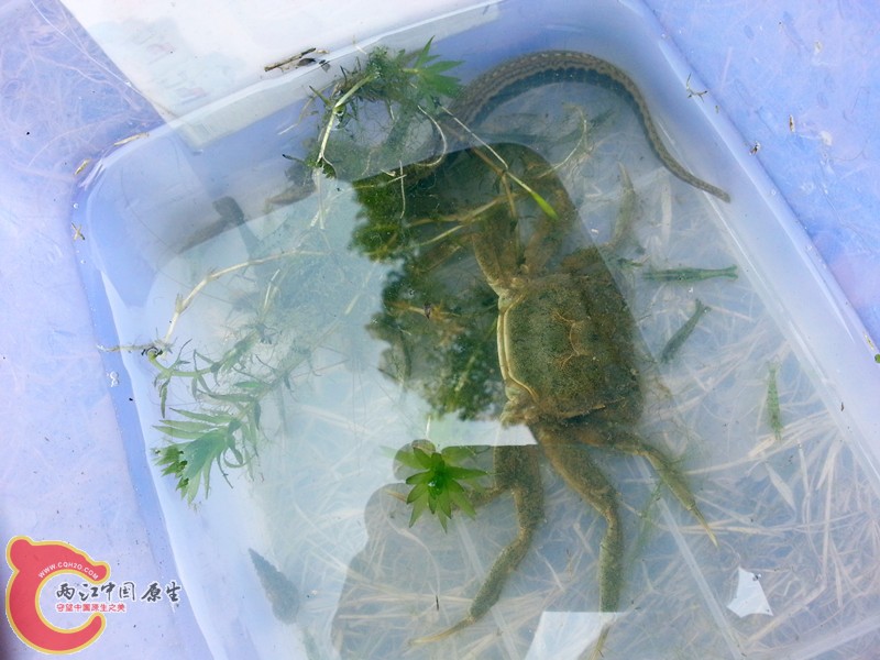 20130408_124814_副本.jpg