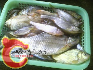IMG0053B.JPG