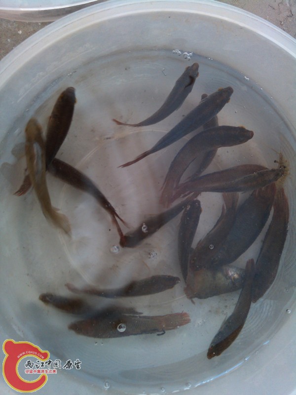 IMG_20130413_075444_副本.jpg