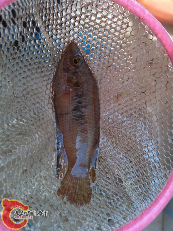 IMG_20130413_075625_副本.jpg