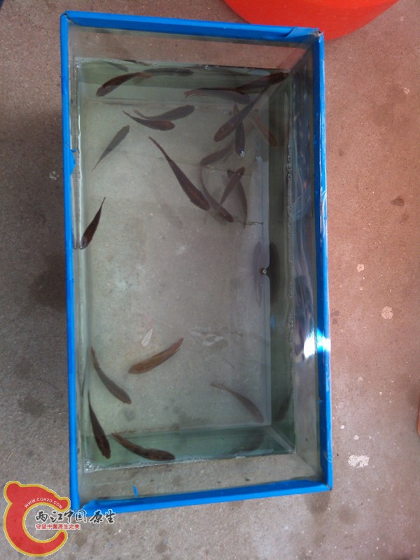 IMG_20130413_080242_副本.jpg