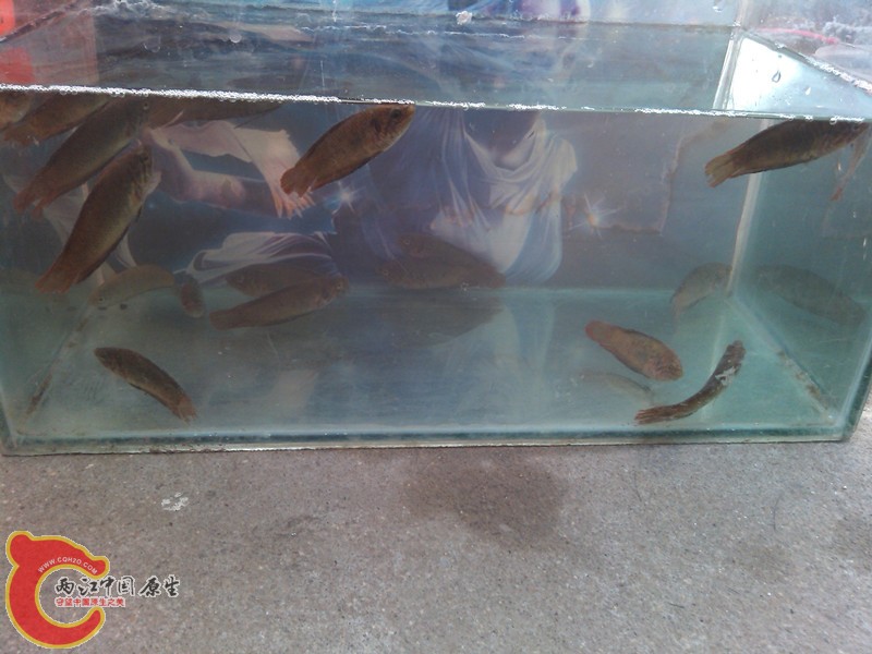 IMG_20130413_080319_副本.jpg