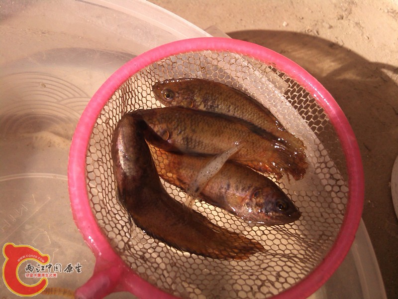 IMG_20130413_080452_副本.jpg