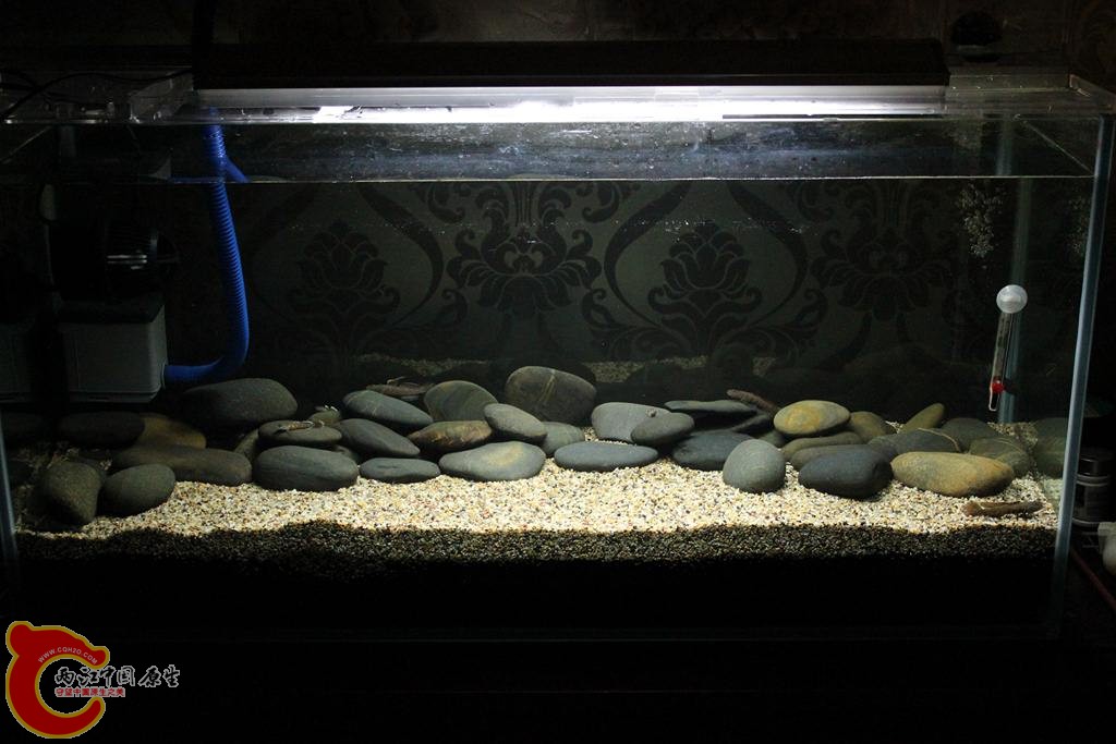 IMG_5282 (複製).JPG