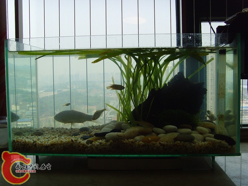 放在卧室飘窗上