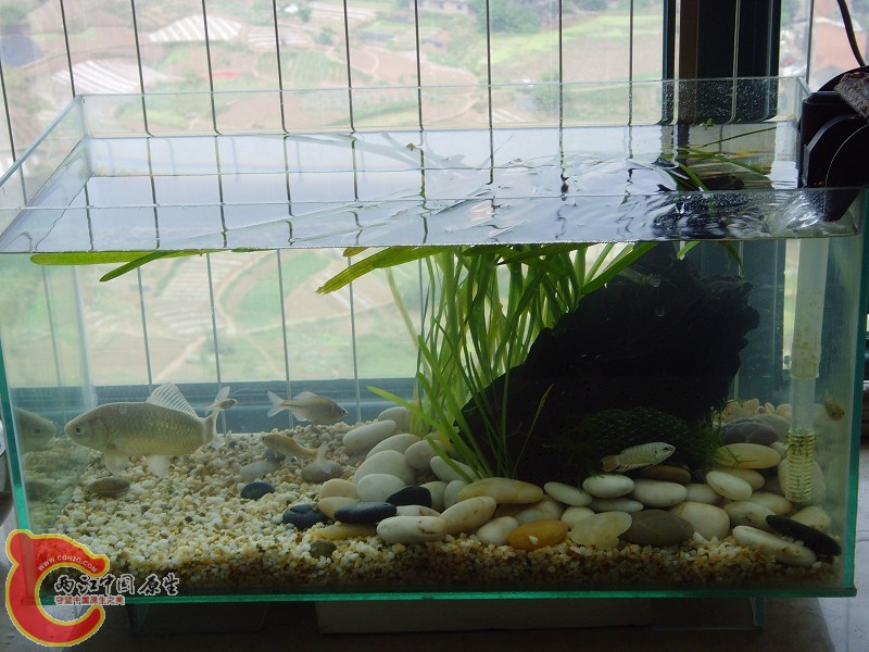 这张看得清楚些