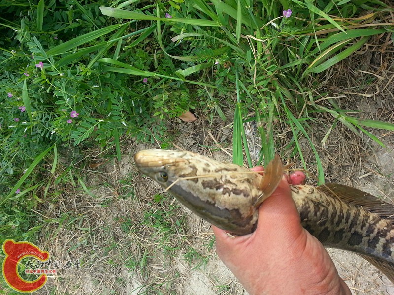 20130416_144130_副本.jpg