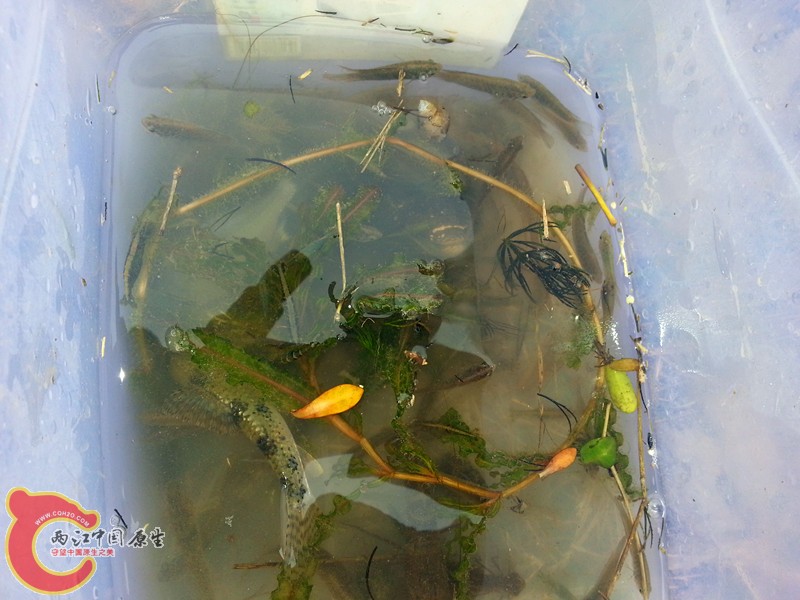 20130416_144035_副本.jpg