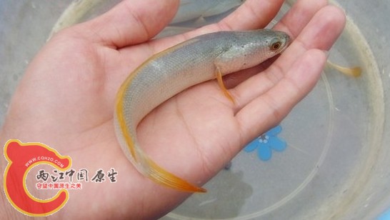 搜狗截图13年04月17日0952_1.jpg