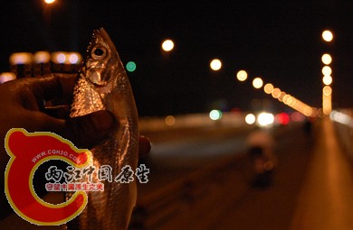 不是什么怀孕的餐条