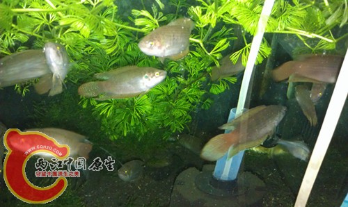 IMAG0314_副本.jpg