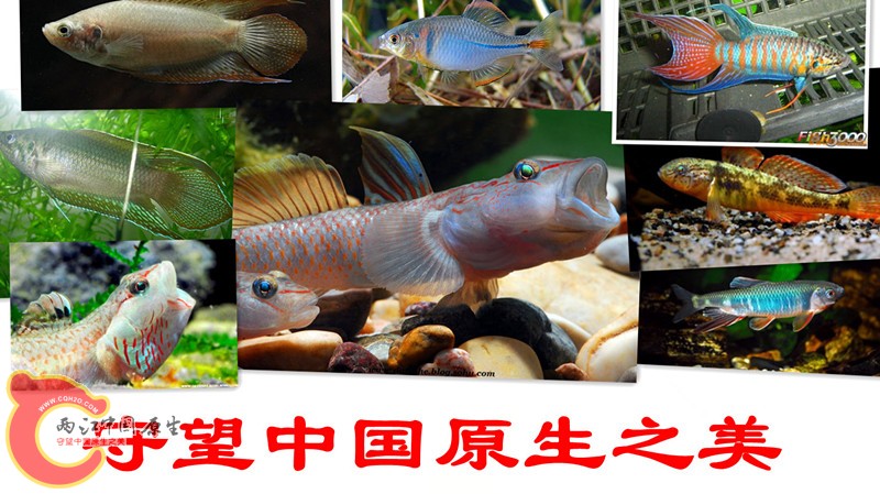 b8389b504fc2d5624b075283e61190ef76c66c55.jpg