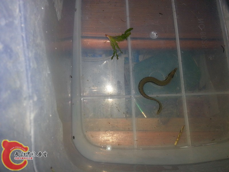 20130419_231804_副本.jpg