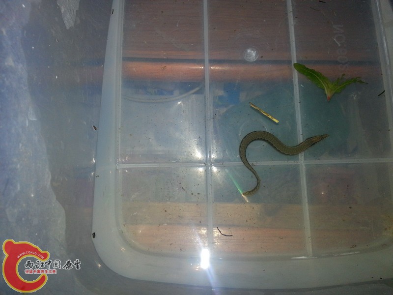 20130419_231810_副本.jpg