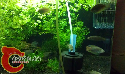 IMAG0201_副本.jpg