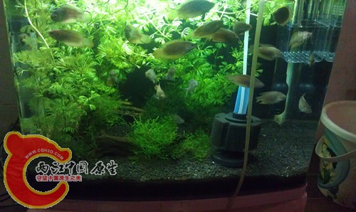 IMAG0218_副本.jpg
