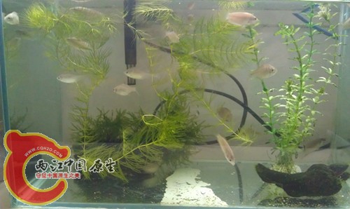 IMAG0216_副本.jpg