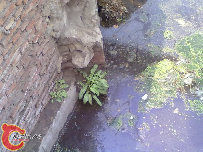 201304202228_副本.jpg