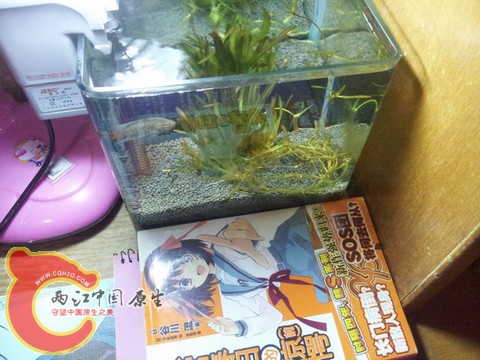 20130420_205256.jpg