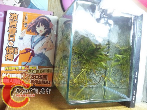 20130420_205311.jpg