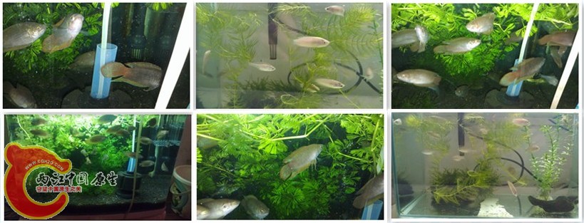 签名1_副本.jpg