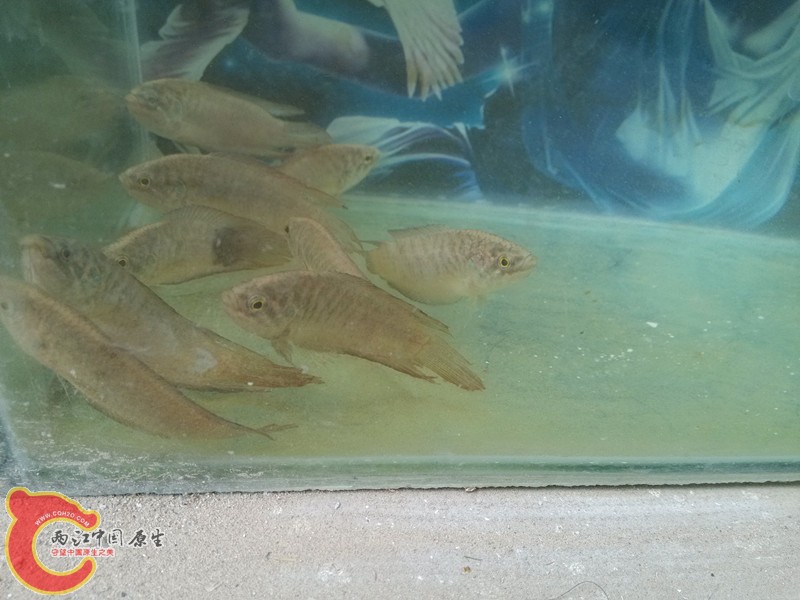 IMG_20130421_154416_副本.jpg