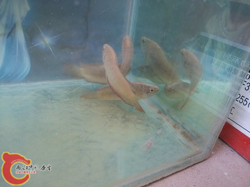 IMG_20130421_154422_副本.jpg