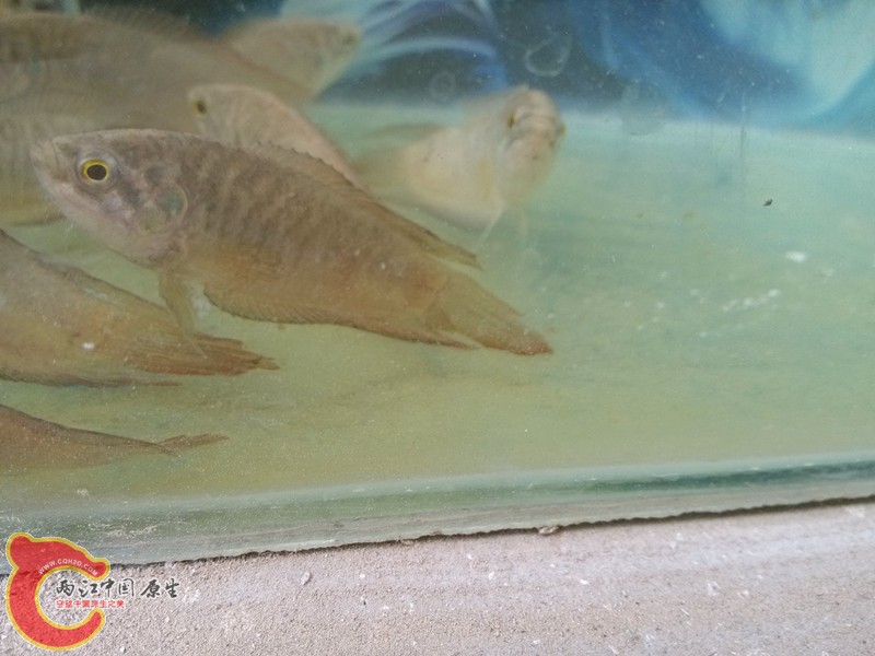 IMG_20130421_154444_副本.jpg