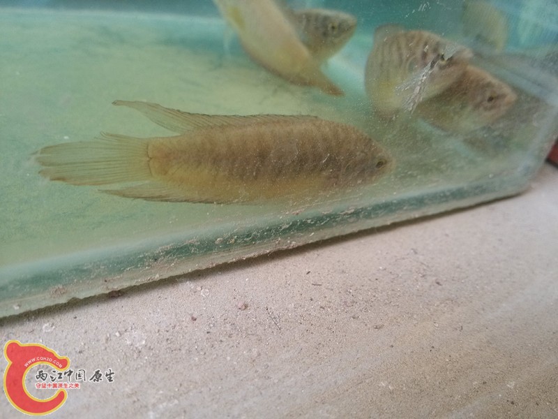 IMG_20130421_154615_副本.jpg