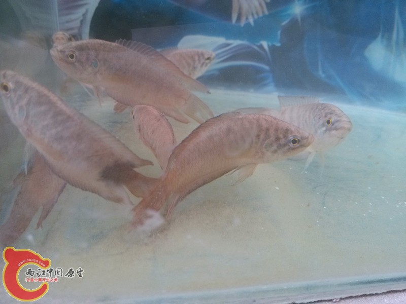 IMG_20130421_154626_副本.jpg