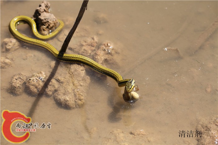 照片 088.jpg