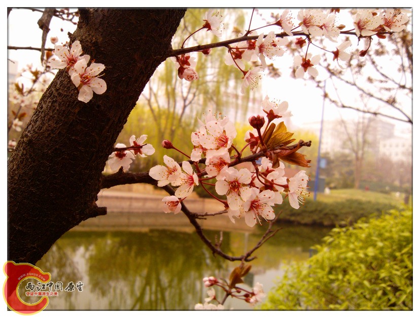 IMG_20130423_162611_副本.jpg