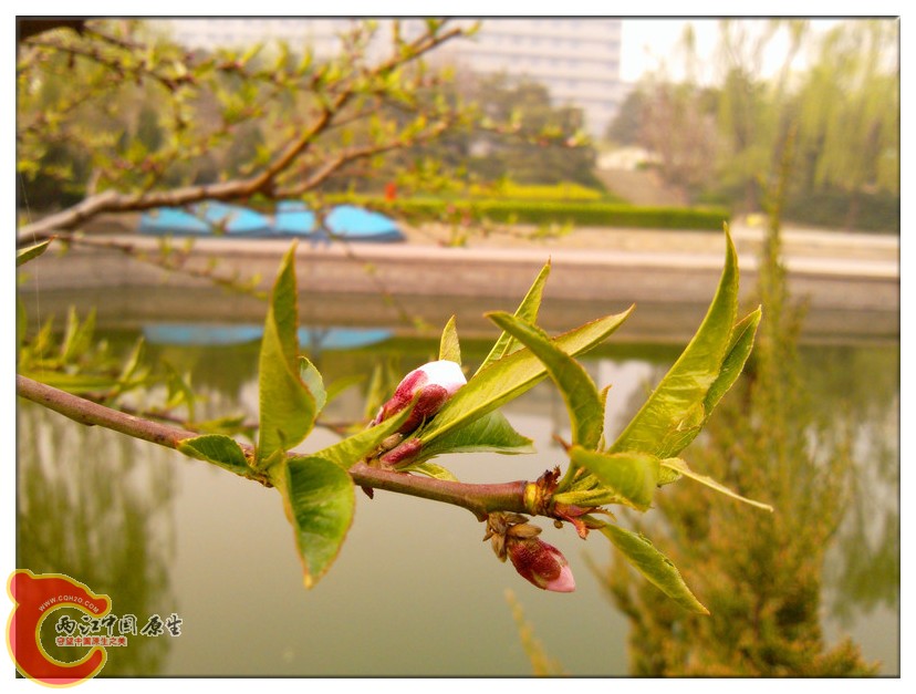 IMG_20130423_162518_副本.jpg