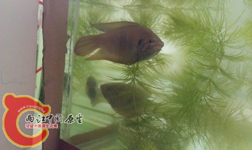 IMAG0418_副本.jpg