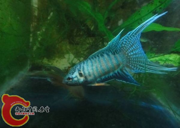 59_33050_3d6bf170beb9eab[1].jpg