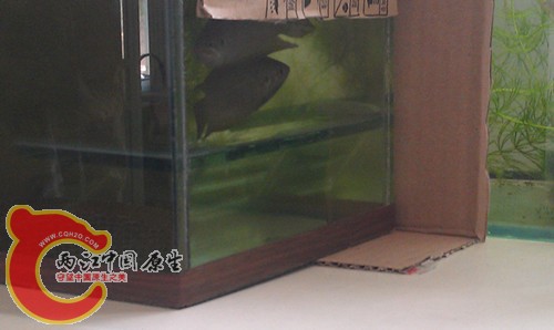 IMAG0430_副本.jpg