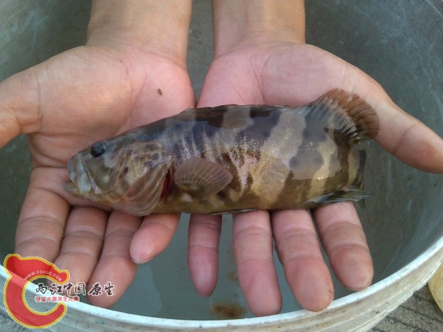 YP20130415174411537.jpg