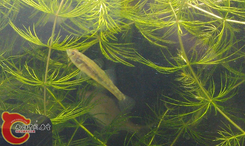 IMAG0453_副本.jpg