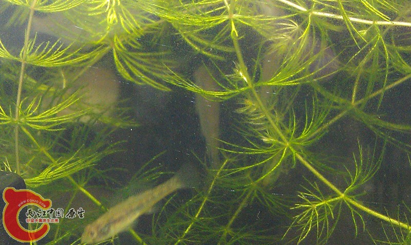 IMAG0454_副本.jpg