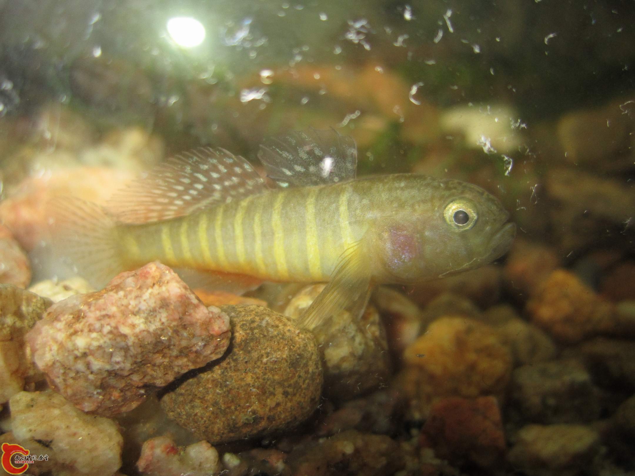 调整大小 IMG_3653.jpg