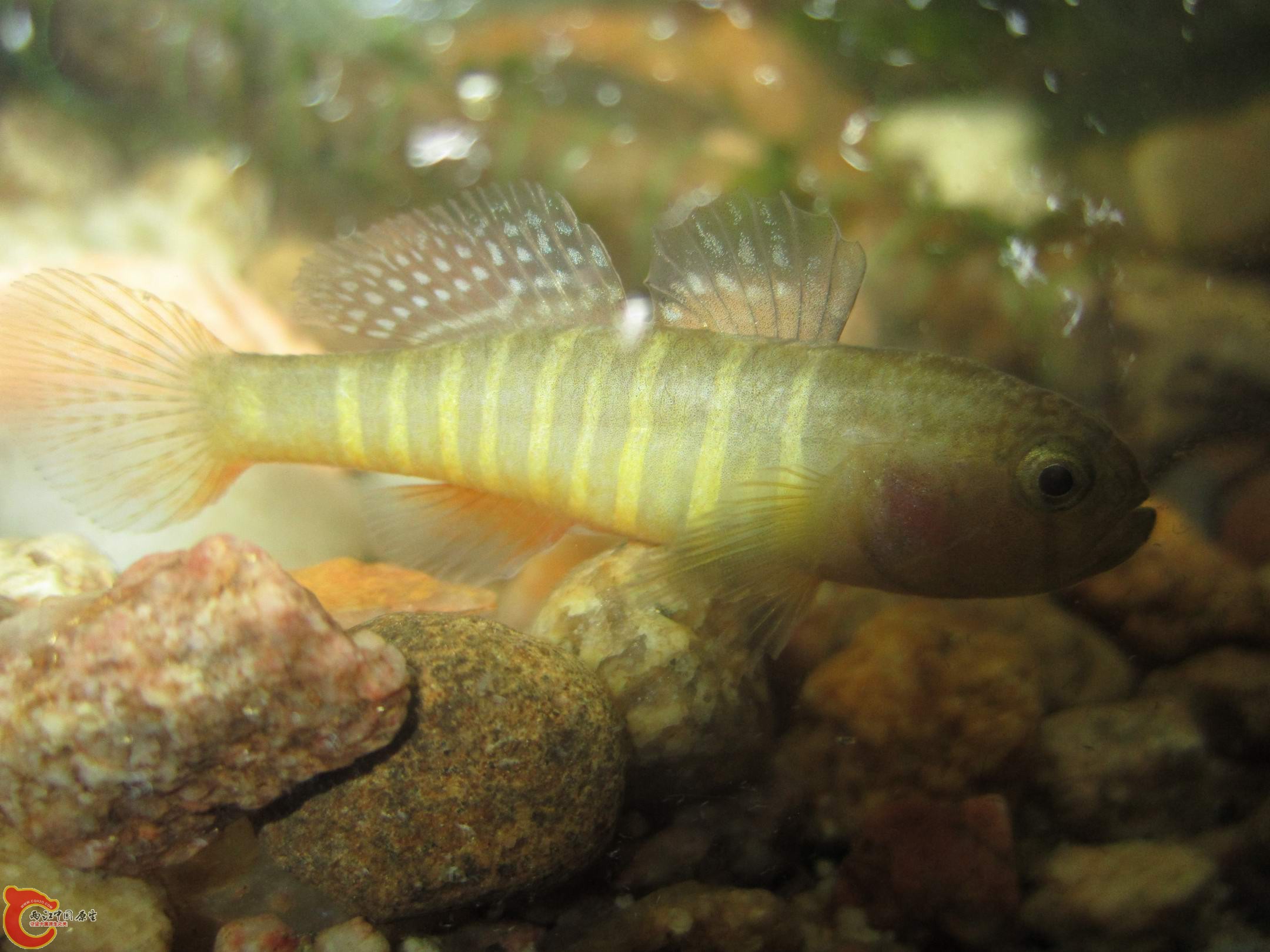 调整大小 IMG_3655.jpg